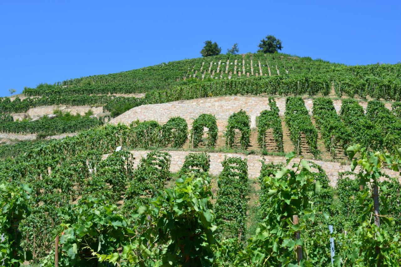 Lamaisondemamere Tournon-sur-Rhone Ngoại thất bức ảnh
