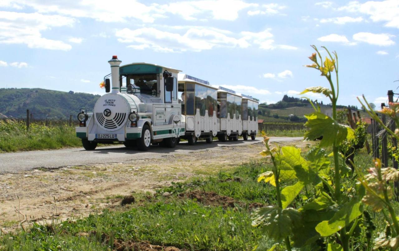Lamaisondemamere Tournon-sur-Rhone Ngoại thất bức ảnh